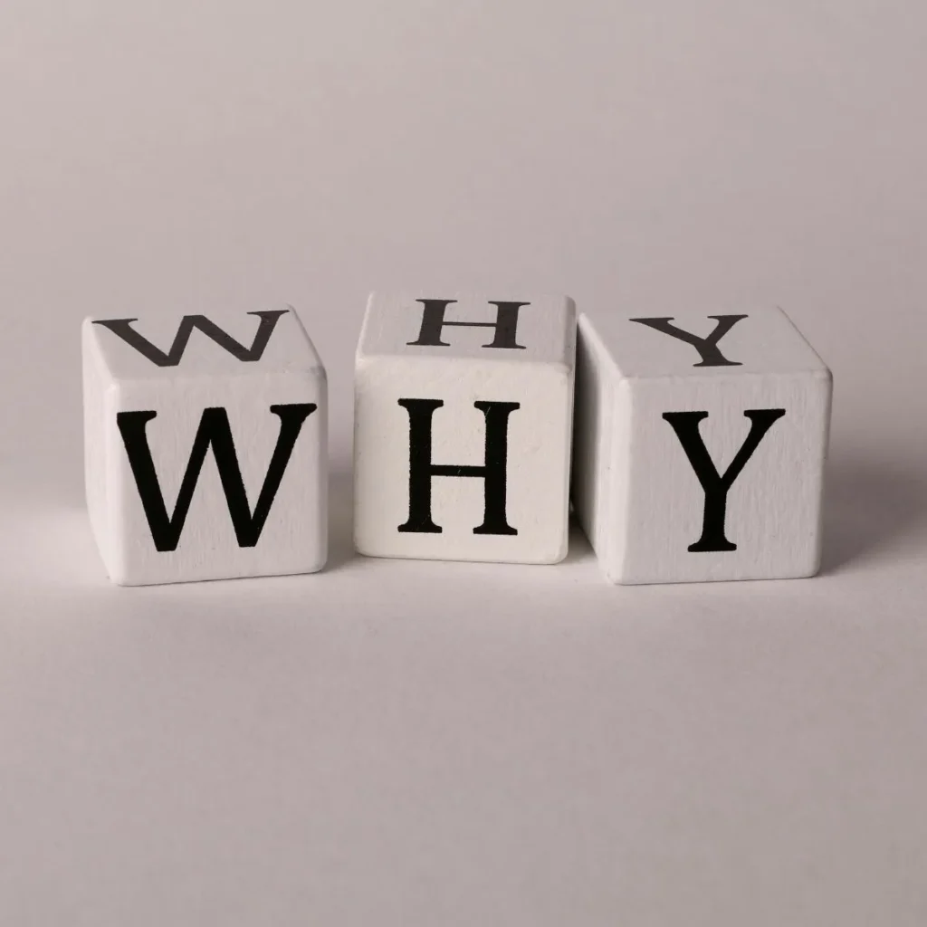 Why Choose CRS Visa for Dubai work permit guidance and personalized application support.
